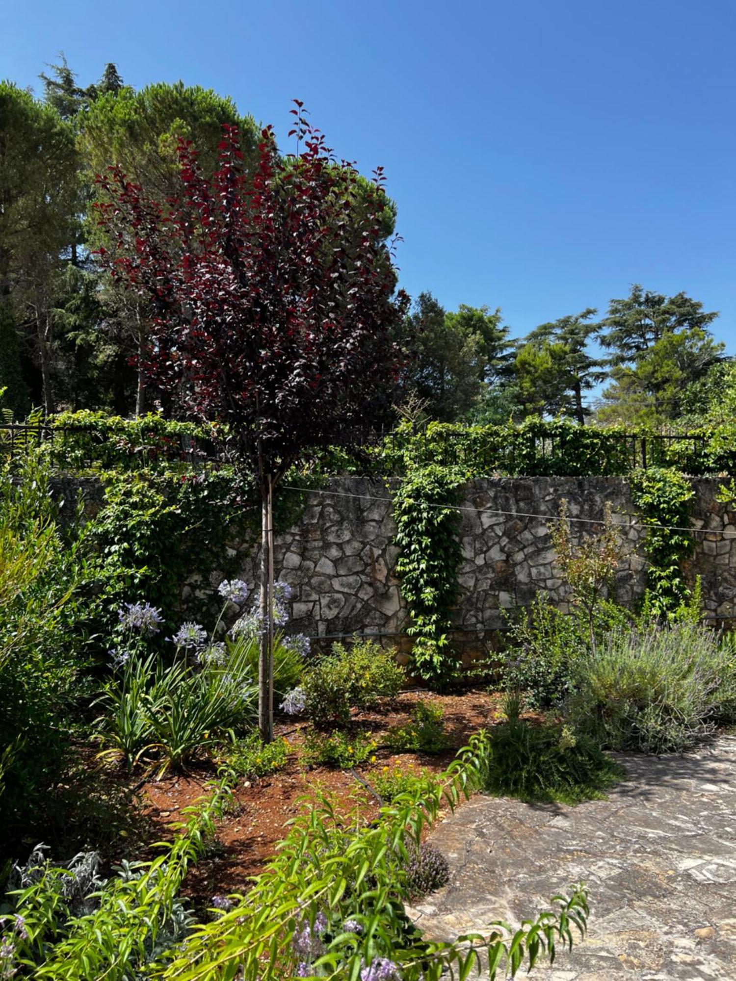 Vila Dimora Di Bari Selva Di Fasano Exteriér fotografie