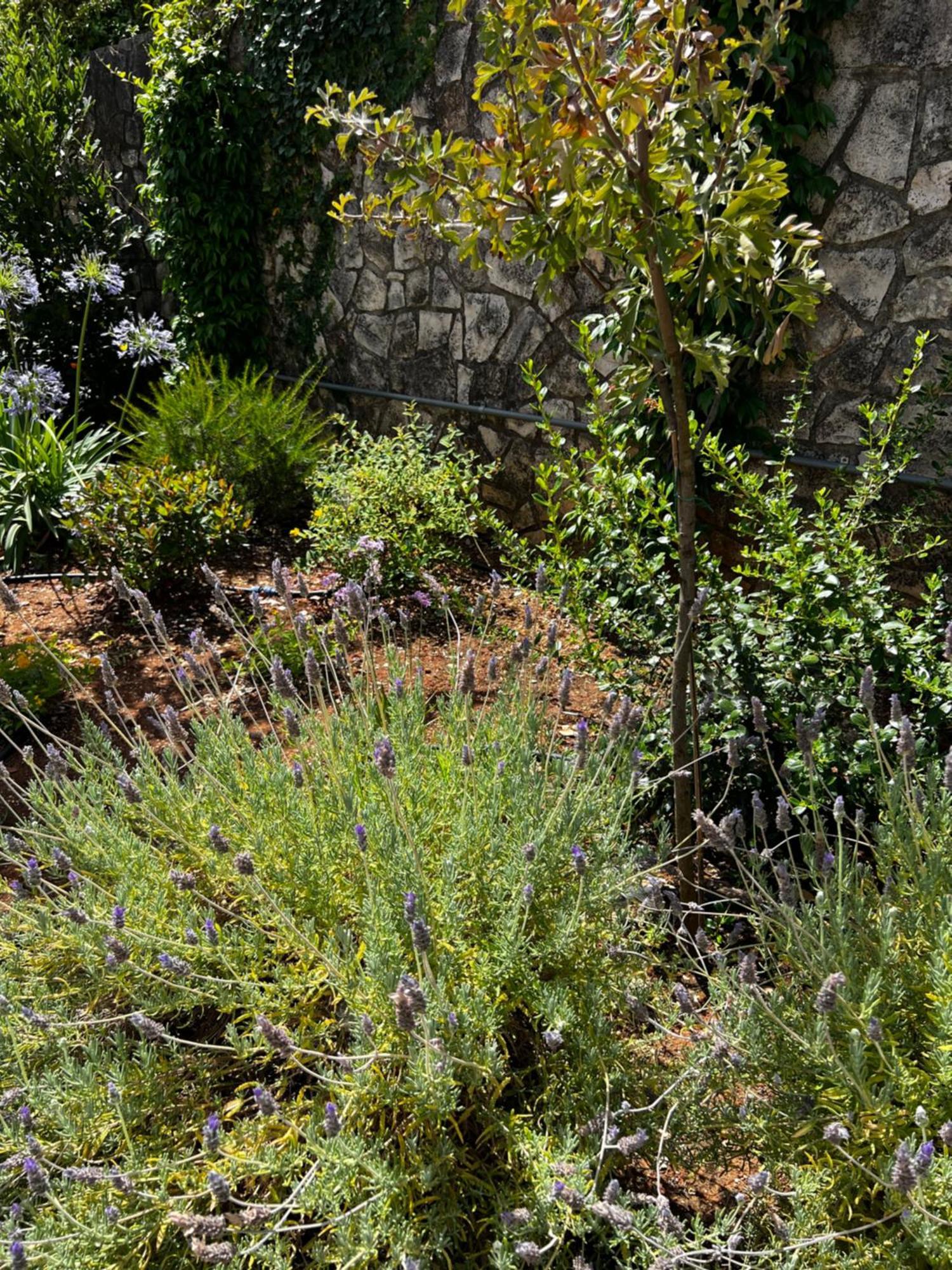 Vila Dimora Di Bari Selva Di Fasano Exteriér fotografie